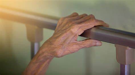 Freiheitsentziehende Maßnahmen 2024